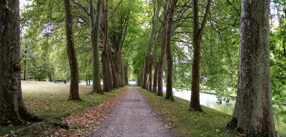 Parc du Château de Courances