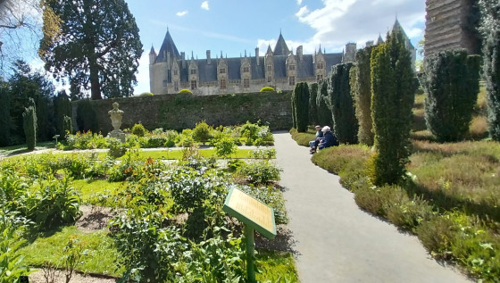 Parc du château.
