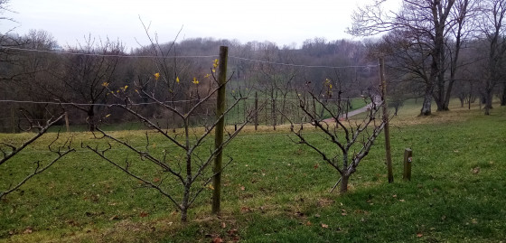 Parc du Morbras