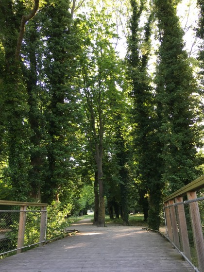 Parc du Moulin