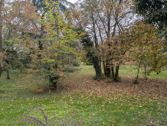 Parc du Sentier des Sorcières