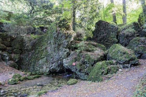 Source du Sourdon