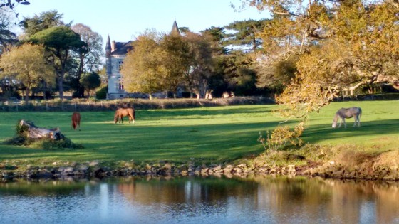 parc et chateau de la Grande Juliennais