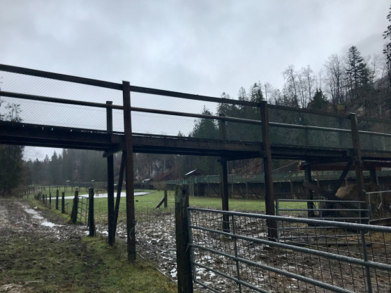 Lac du Brenet via le Mont d\'Orzeires et le Crêt des Alouettes Lac du Brenet via le Mont d\'Orzeires et le Crêt des Alouettes