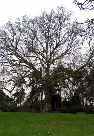 Parc Montsouris