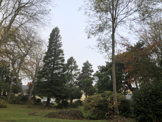 Parc municipal de Luc-sur-Mer