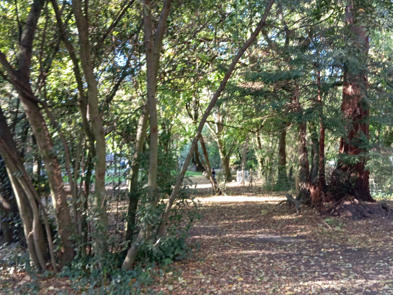 Parc Rivière