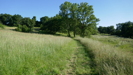 Parc Rozin