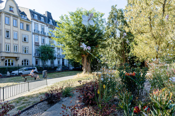 Parc Salvator