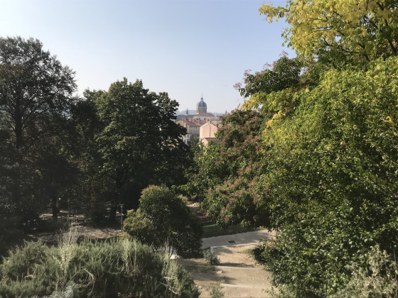 Parc Sutter