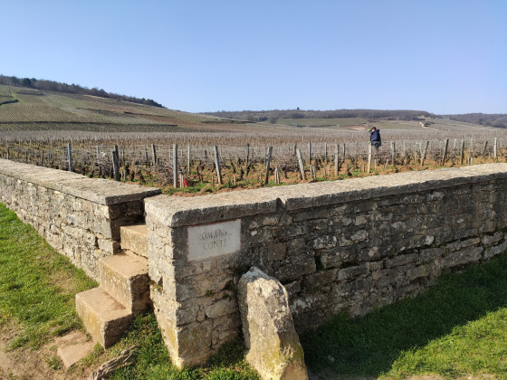 Parcelle de la Romanée Conti