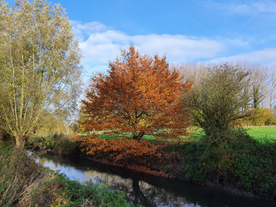 Parcours bucolique le long de la Marque