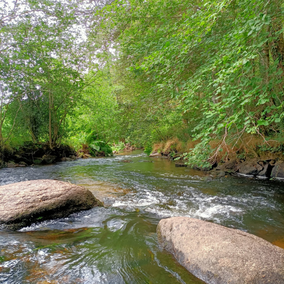 Parcours le long de l'Aven entre les points 6 &agrave; 8