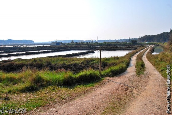 Parcs à huîtres