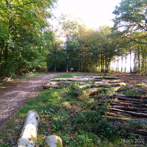 Parking forestier des Ecureuils.