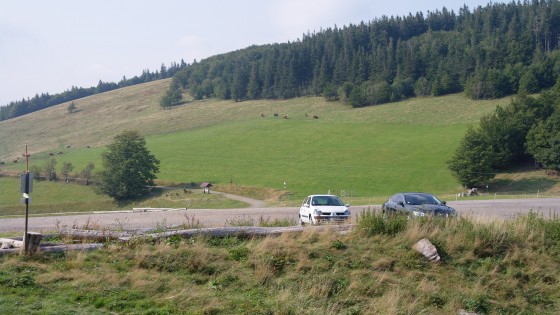 Lac des Perches (VOSGES)