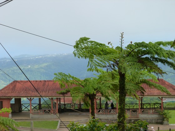 Parking véhicule
