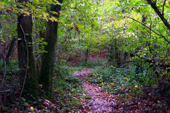 Partie au bord de l'Orge