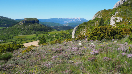 Pas de Bouvrège