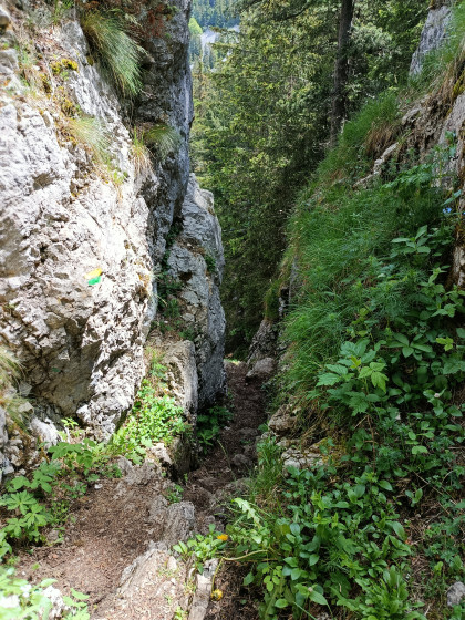 Pas de la Bergère