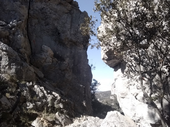 Pas de la Bufa
