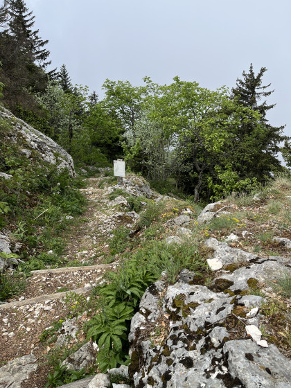 Pas de Pierre Taillée