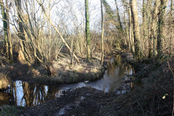 Passage &agrave; gu&eacute; de la rivi&egrave;re B&eacute;ronne