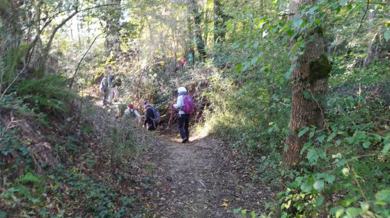 Passage &agrave; gu&eacute; du ruisseau des Crab&egrave;res