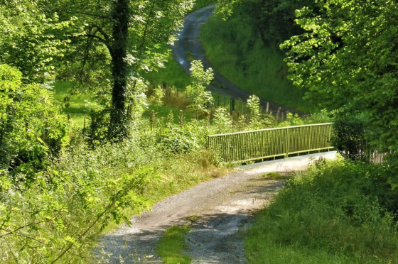 Passage dans la for&ecirc;t