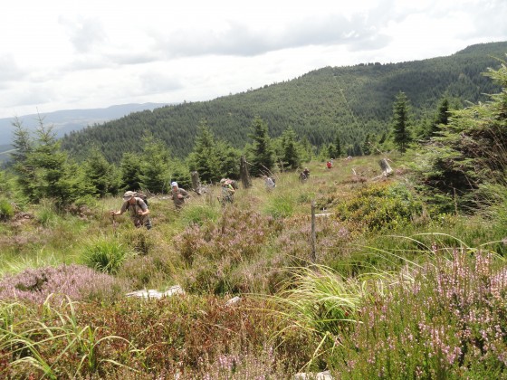 Passage dans les Bruyères