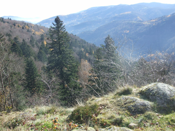 Point de vue sur la vallée de Sewen