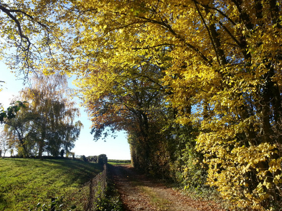 Passage de bocage