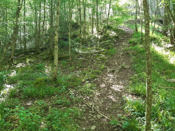 Passage délicat