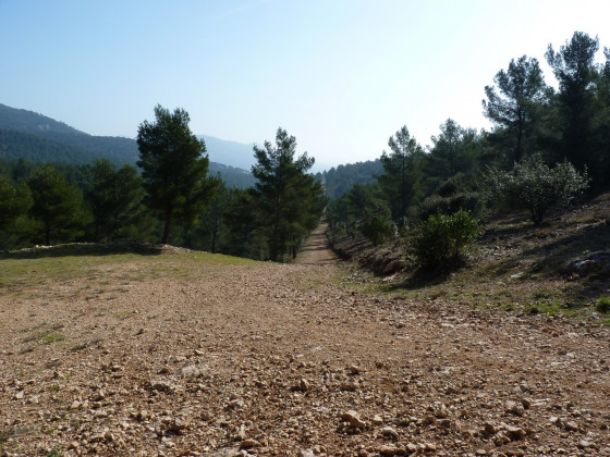 Une belle allée rectiligne