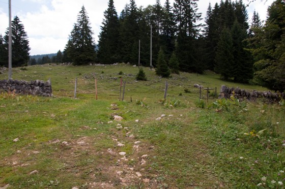 Passage du muret