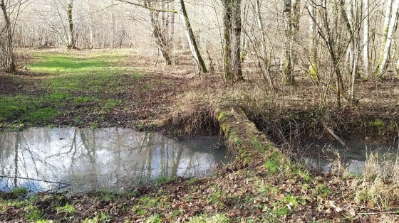 Passage du ruisseau.