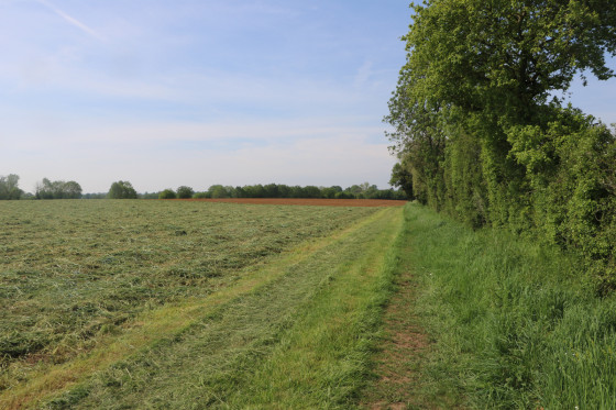 Passage en bordure de champs