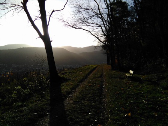 Passage en forêt