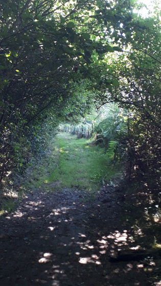 passage en tunnel