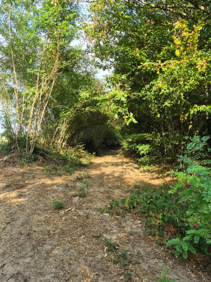 Passage for&ecirc;t