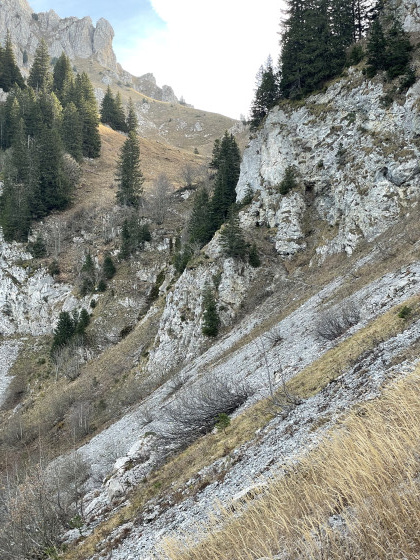 Passage plus d&eacute;licat