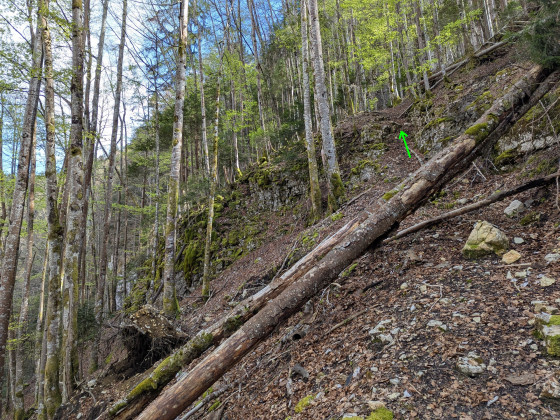 Passage raide dans la mont&eacute;e entre gorge et ressaut sup&eacute;rieur