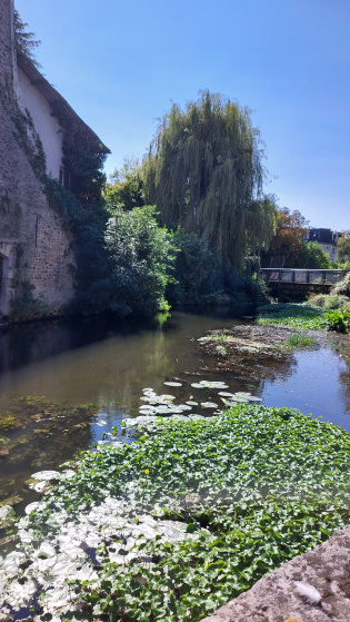 Passage sous la N7