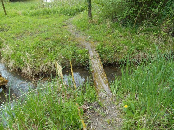 Passage sur un bras mort du Rhin
