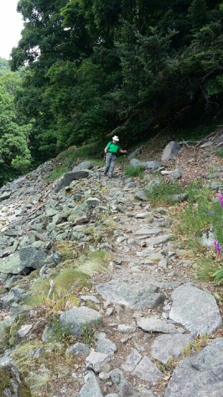 Passage dans les éboulis