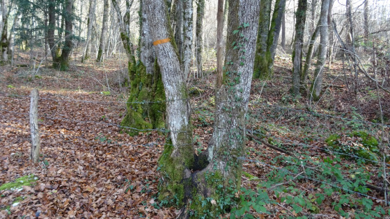 Passe barrière naturel
