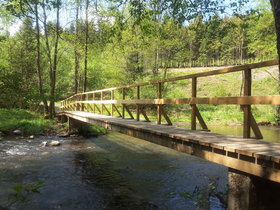 Passerelle au confluent de l'Our et de la Lesse