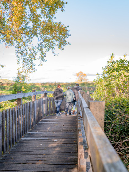 Passerelle au-dessus du Ruisseau