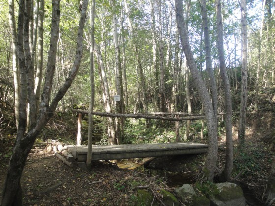 Passerelle autour du lac
