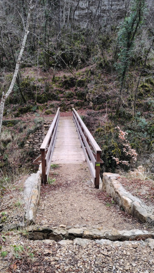 Passerelle de Vescagne